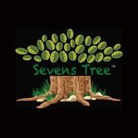 Sevens Tree Academy